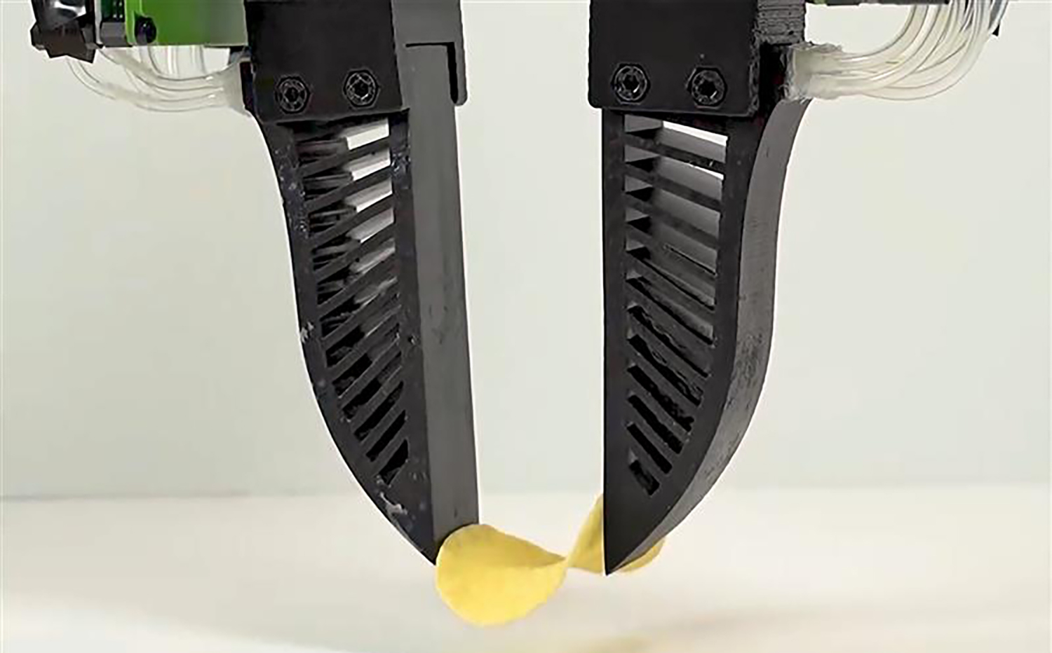 A device with the same shape as tweezers or forceps holds onto an intact potato chip.