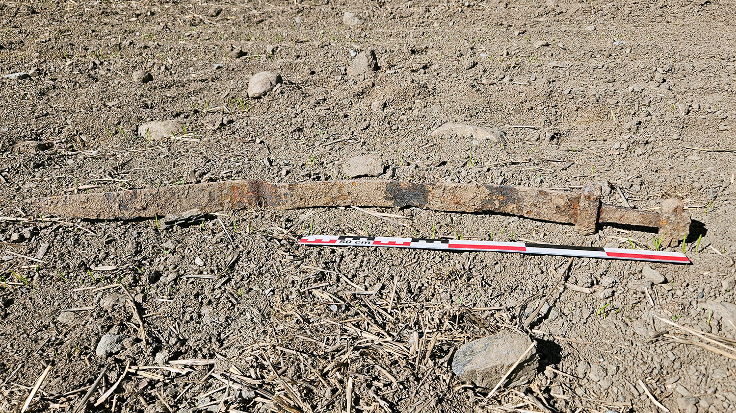 A rusty metal Viking sword rests on its blade on the bare ground next to a 50-centimeter measuring tape.