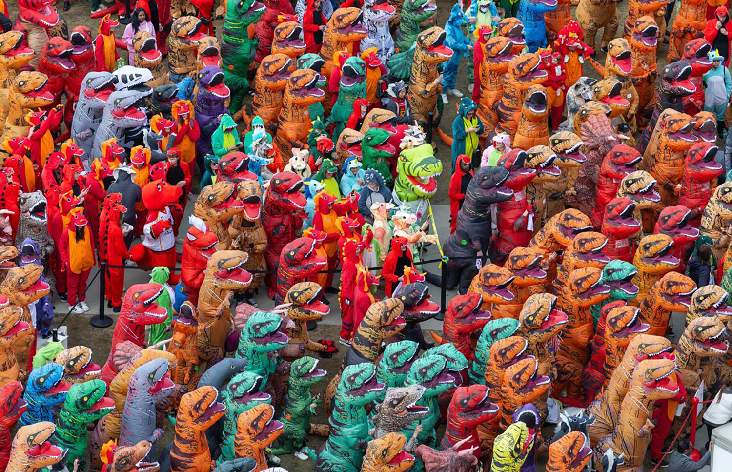 A group of people in different colored but otherwise mostly identical T. rex costumes are gathered in an outdoor area.