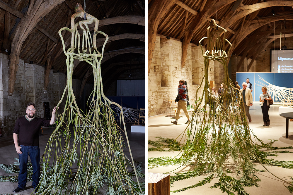 Composite of two views showing tree hanging upside down indoors, their branches in the shape of a chair.