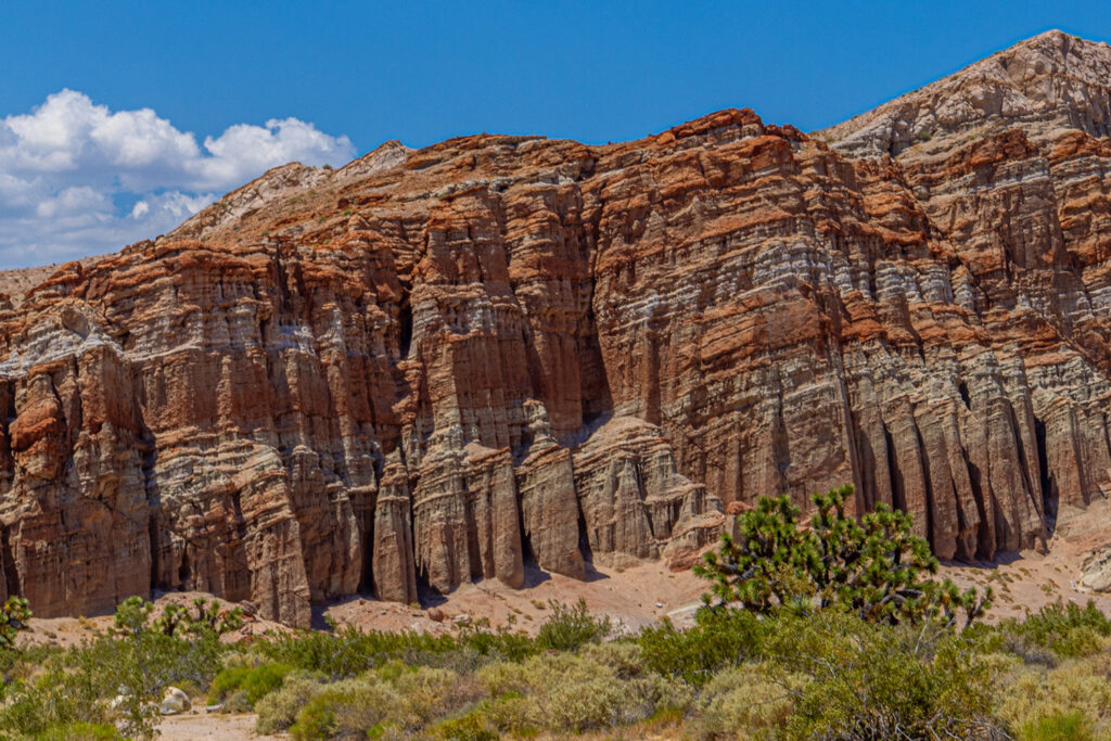 A cliff in Red Rock Canyon State Park shows layers of sedimentary rock.
