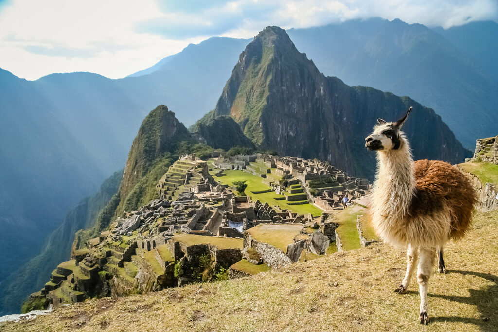A llama stands in the mountains with Machu Picchu in the background.