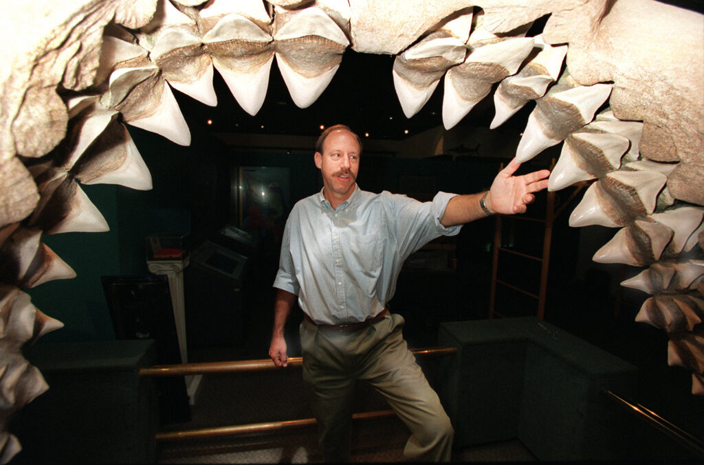 A man stands in the fossilized jaw of a megalodon and gestures to the many teeth.
