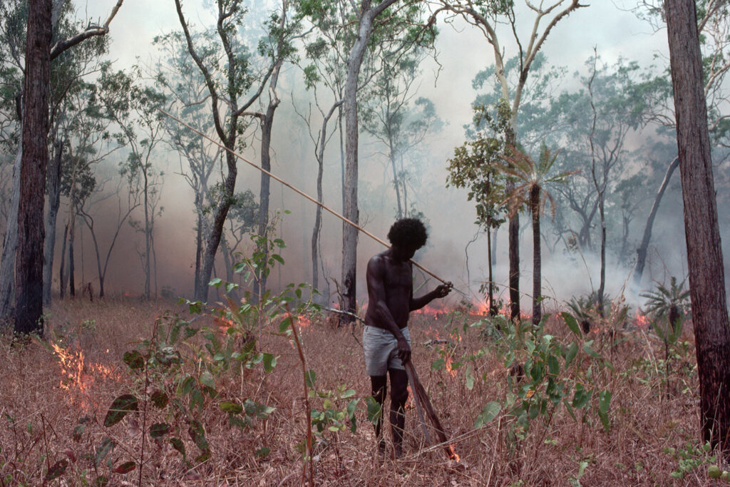 An Indigenous man uses a tool to set fire to an area with trees and brush.