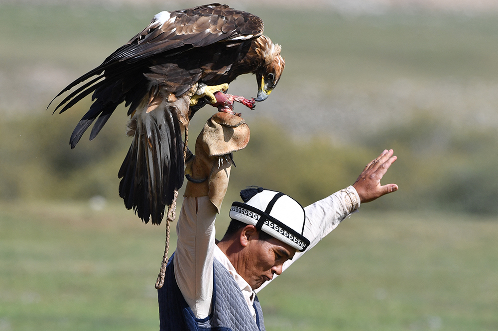 A man stretches his arms up and an eagle perches on one of his gloved hands.