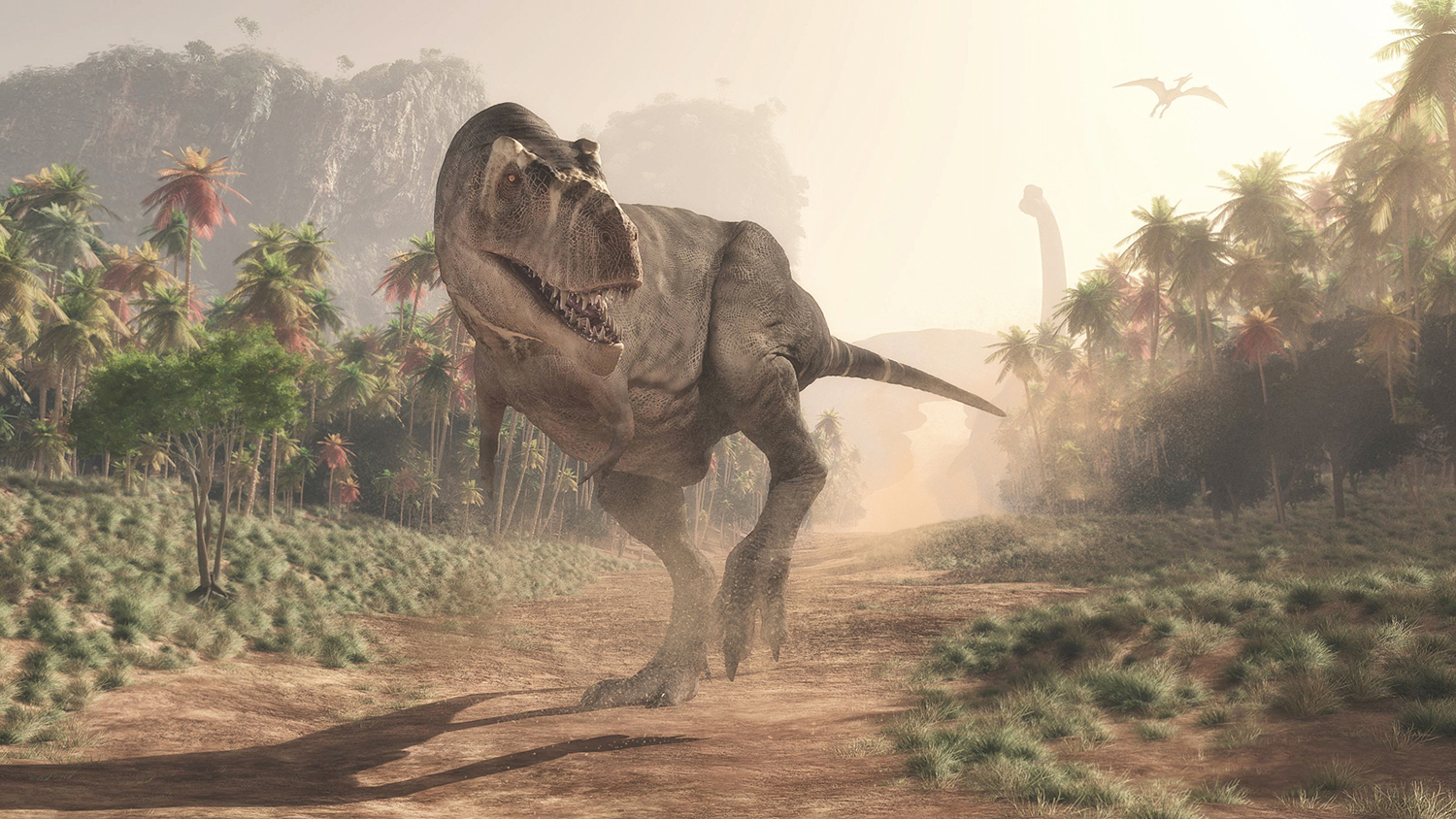 A T. rex walks on a well worn dirt path with trees and other vegetation, and two other dinosaur species, in the background.