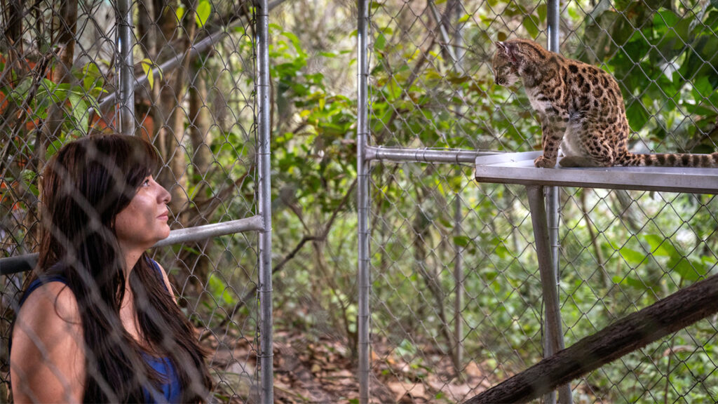 Paola Nogales Ascarrunz looks at a tilcayo that is on a climbing apparatus inside a sanctuary.