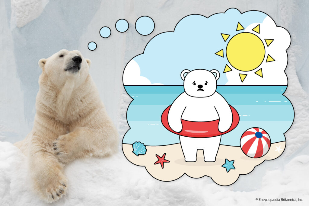 A polar bear lies on ice and its thought bubble shows an unhappy polar bear on a sunny beach wearing an inner tube.