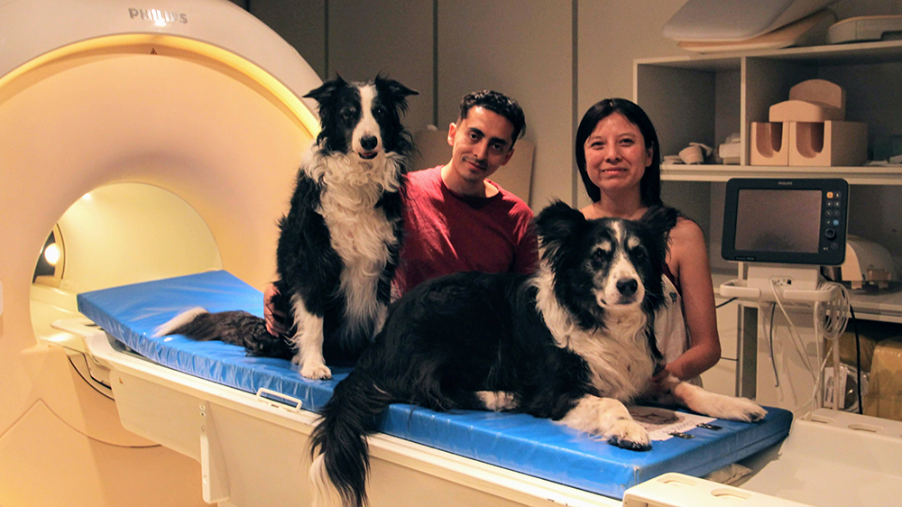 A man and a woman stand next to two border collies that are near the opening of an MRI machine.