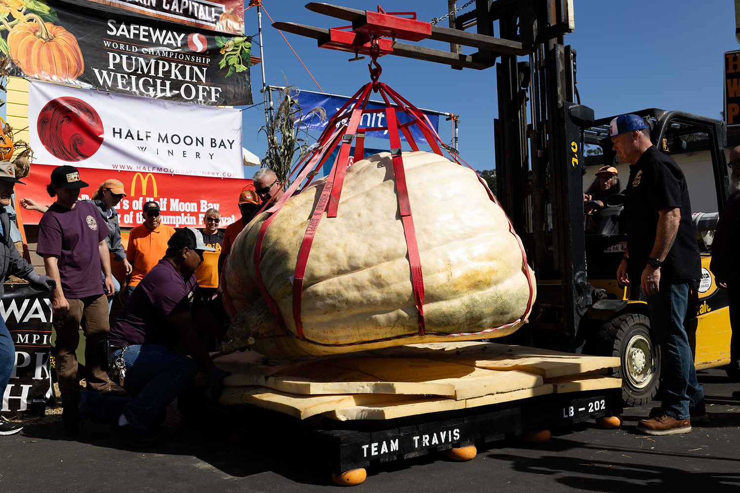 A piece of machinery labeled Team Travis lifts a giant pumpkin as a group of people observe.